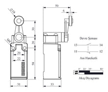 Load image into Gallery viewer, EMAS L51 Metal Body 18 mm Metal Roller Arm Snap Action 1NO+1NC Limit Switch
